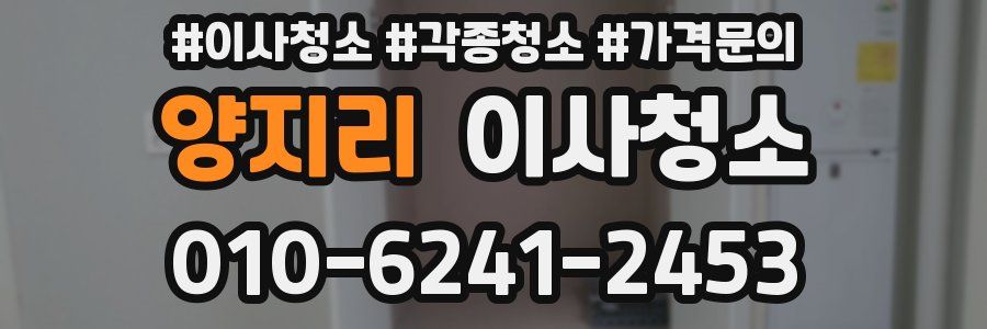 양지리 이사청소