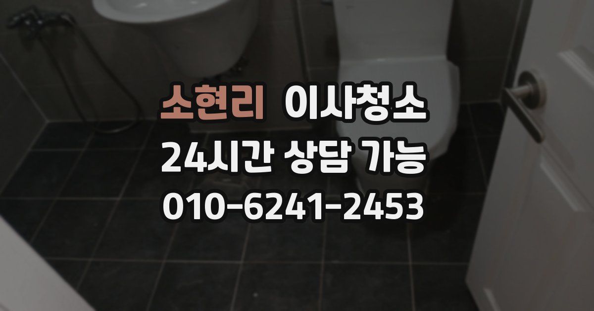 소현리 입주청소