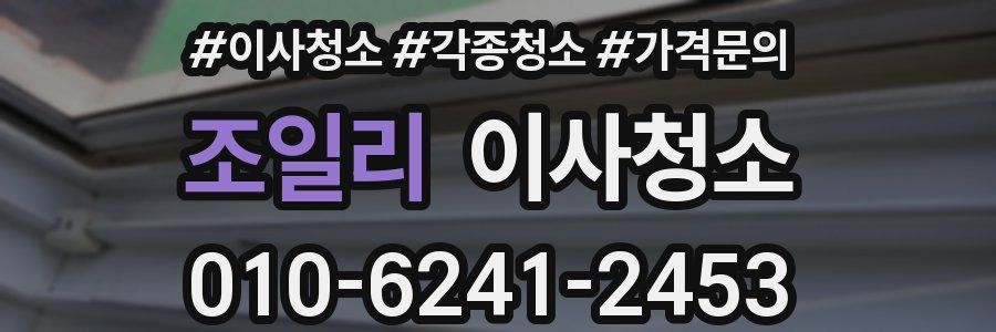 조일리 이사청소