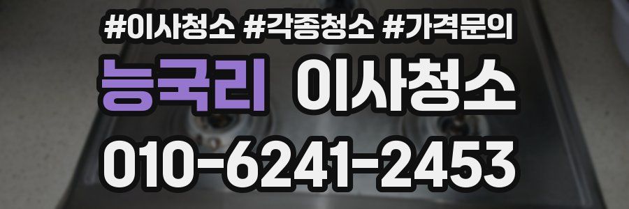 능국리 이사청소