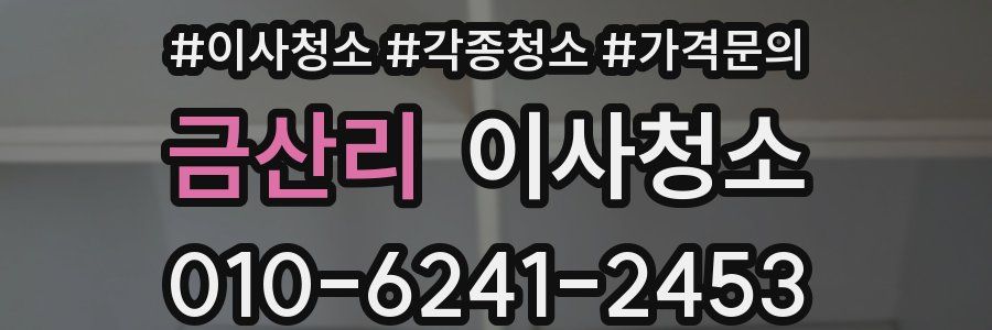 금산리 이사청소