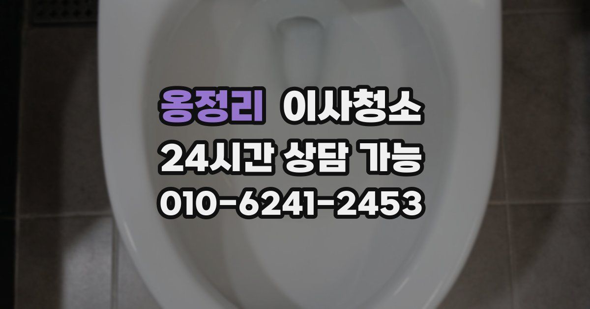 옹정리 입주청소