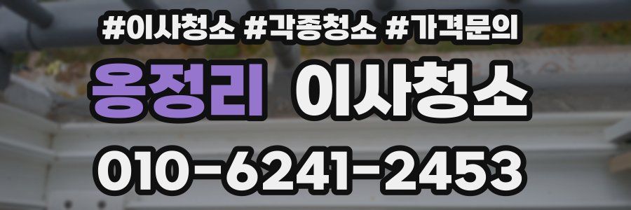 옹정리 이사청소