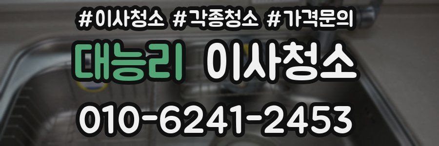 대능리 이사청소