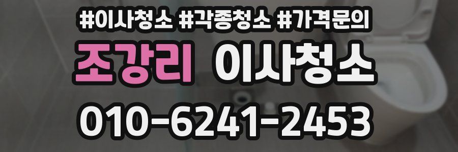 조강리 이사청소