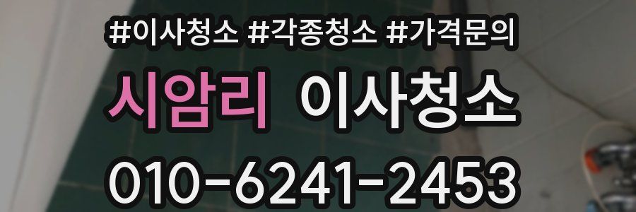 시암리 이사청소