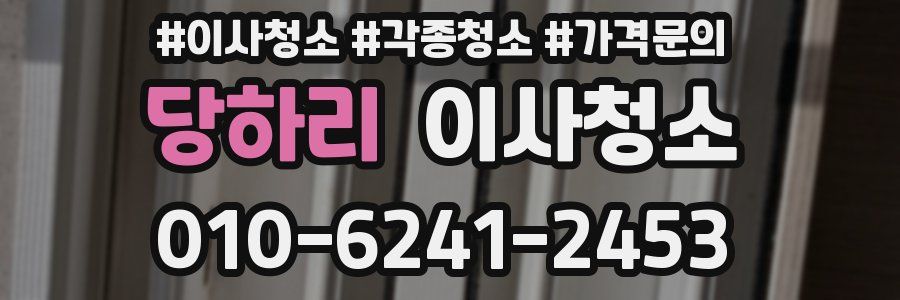 당하리 이사청소