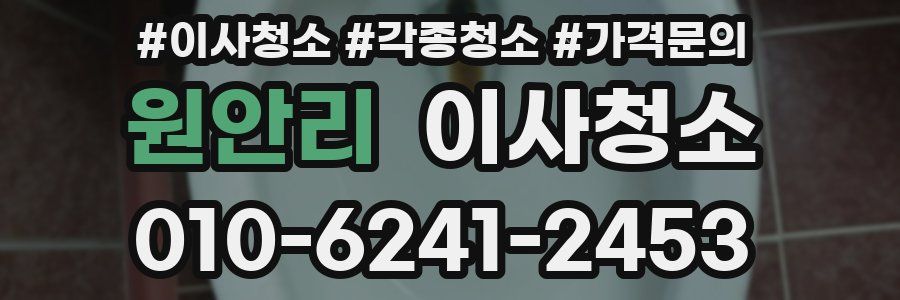 원안리 이사청소