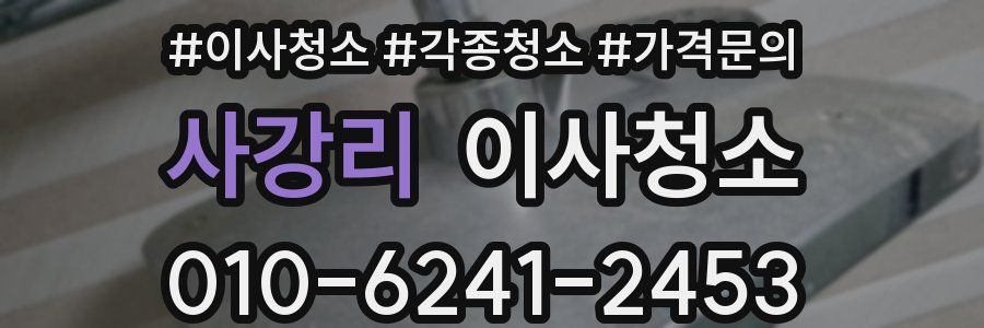 사강리 이사청소