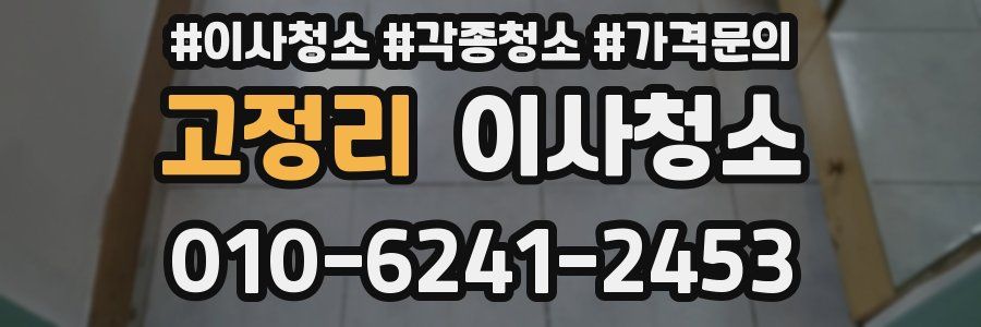 고정리 이사청소