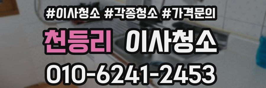 천등리 이사청소