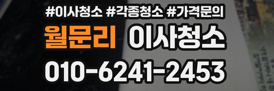 월문리 이사청소