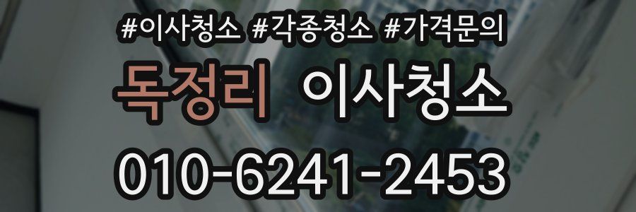 독정리 이사청소