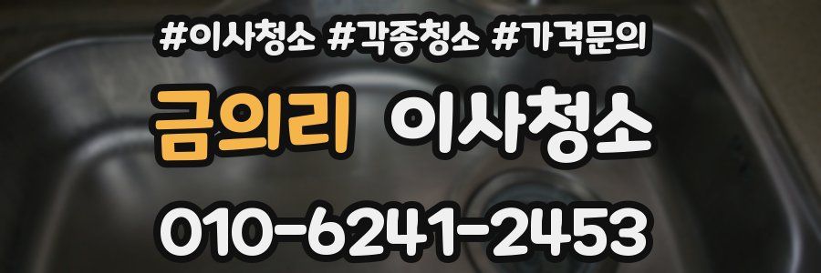 금의리 이사청소