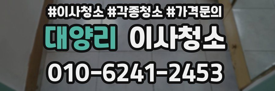 대양리 이사청소