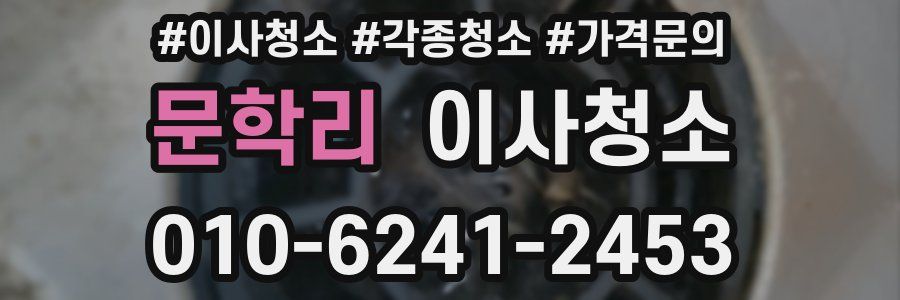 문학리 이사청소