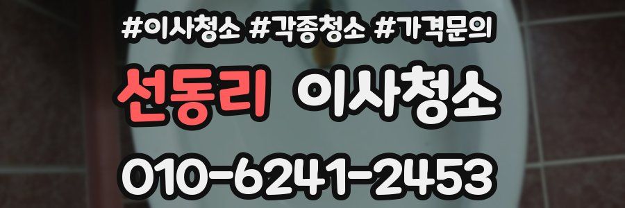 선동리 이사청소