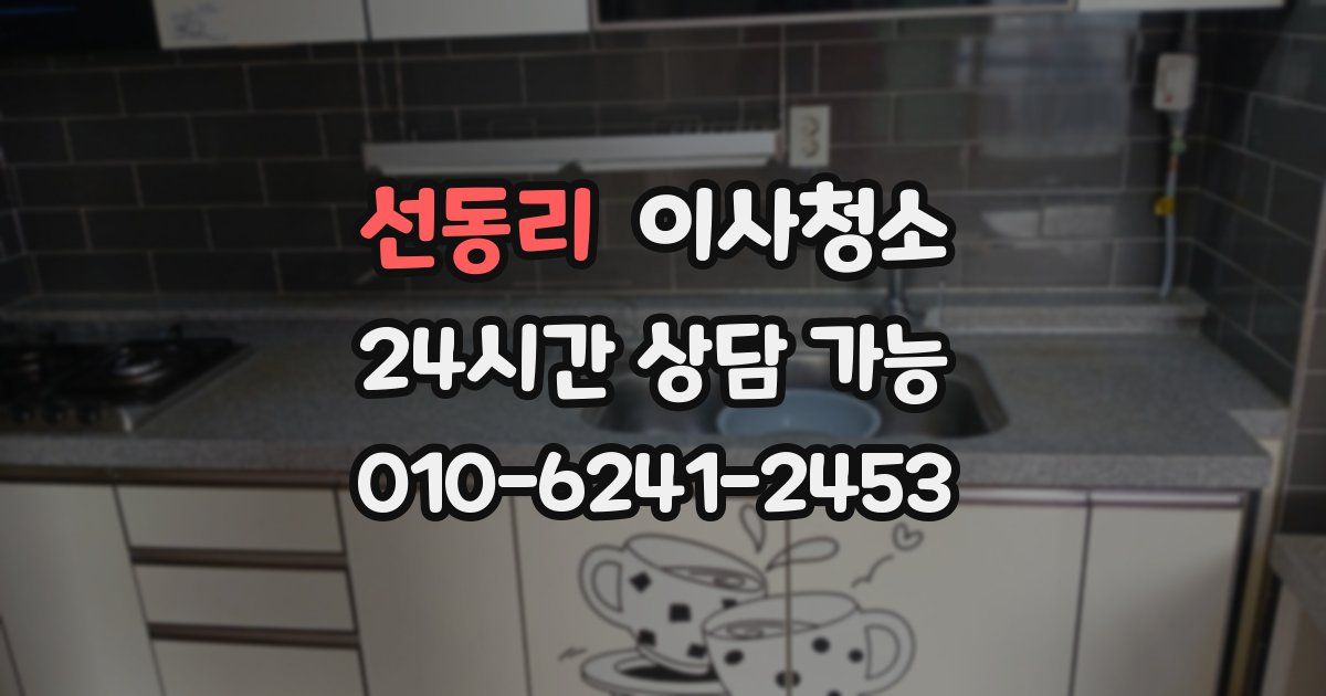 선동리 입주청소