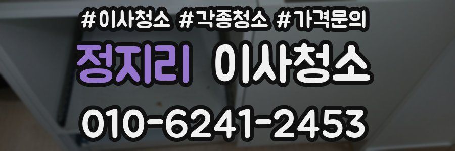 정지리 이사청소