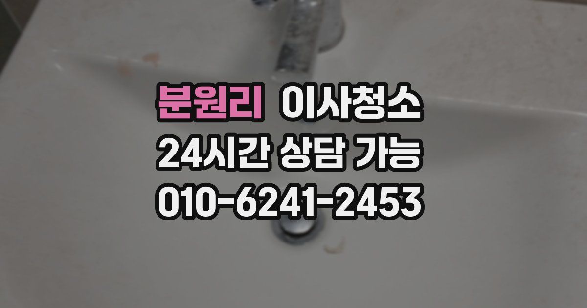 분원리 입주청소