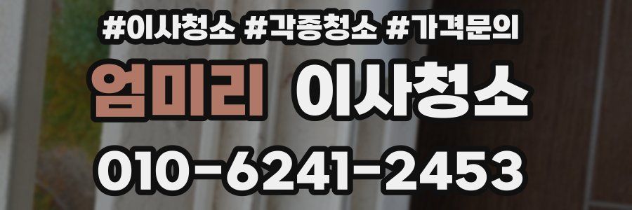 엄미리 이사청소