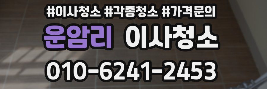 운암리 이사청소