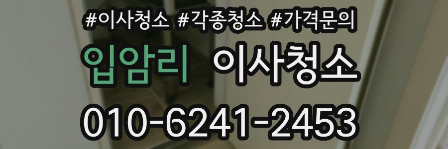 입암리 이사청소