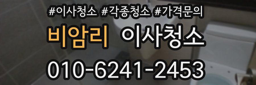 비암리 이사청소