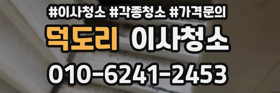 덕도리 이사청소