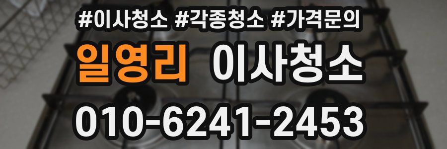 일영리 이사청소