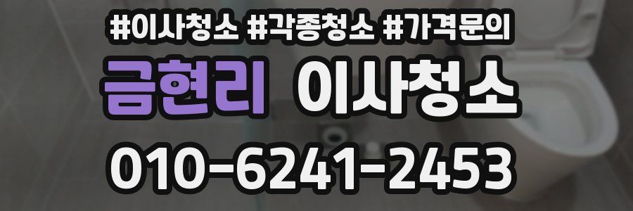 금현리 이사청소