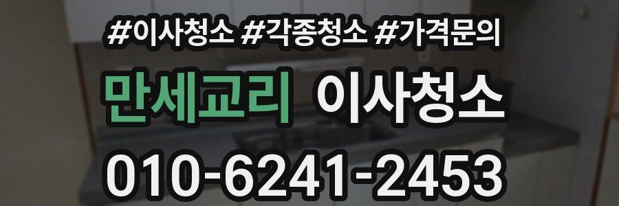 만세교리 이사청소