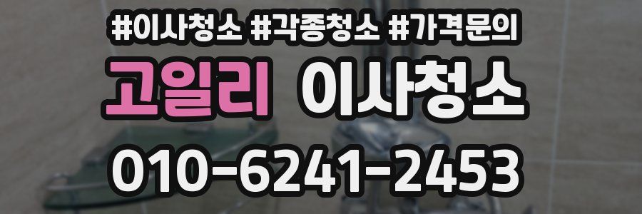 고일리 이사청소
