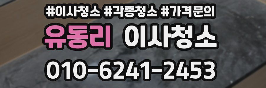 유동리 이사청소