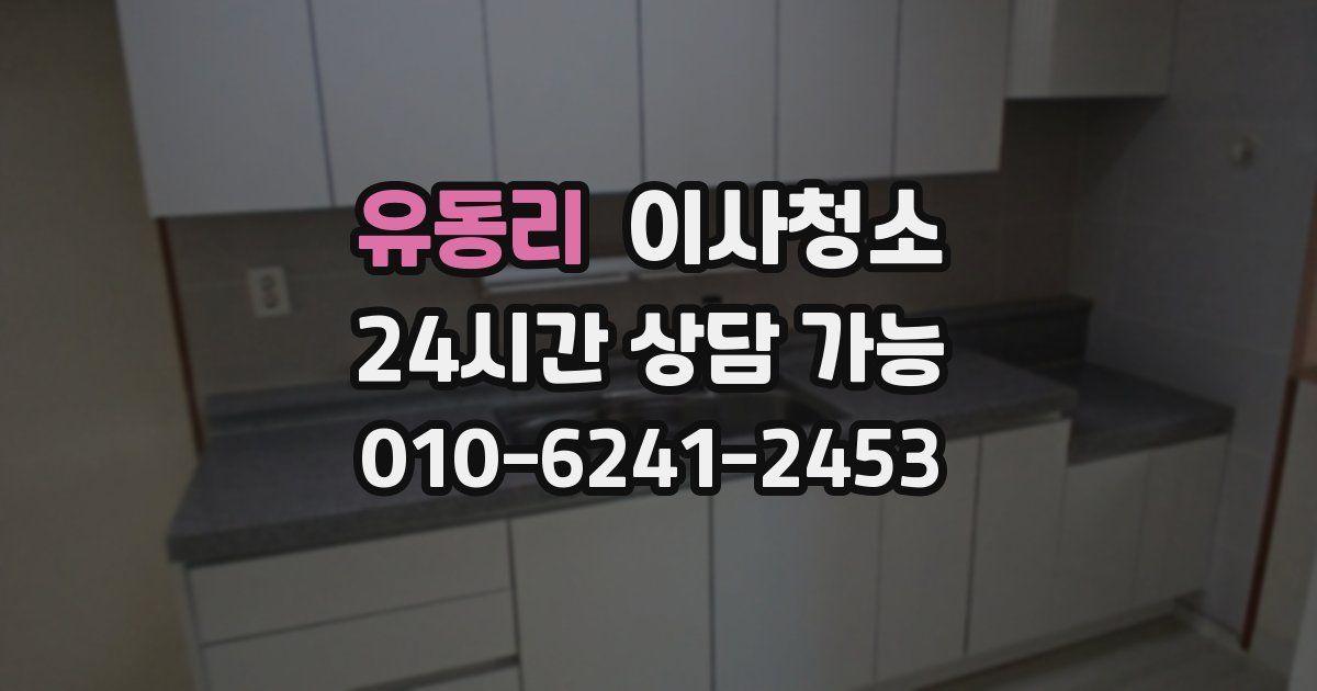 유동리 입주청소