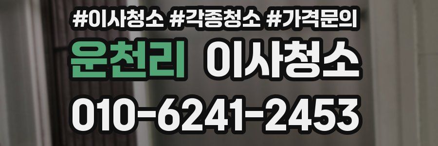 운천리 이사청소