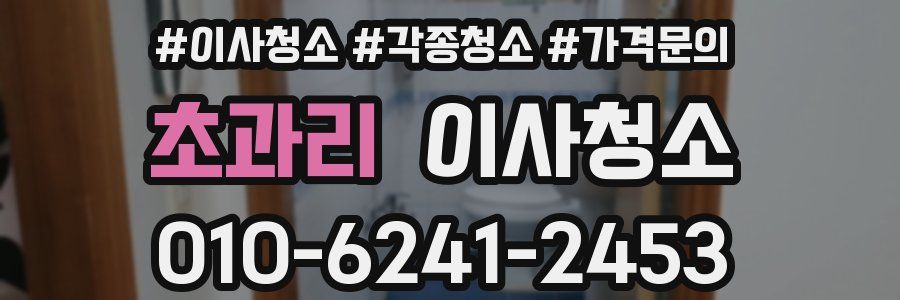 초과리 이사청소