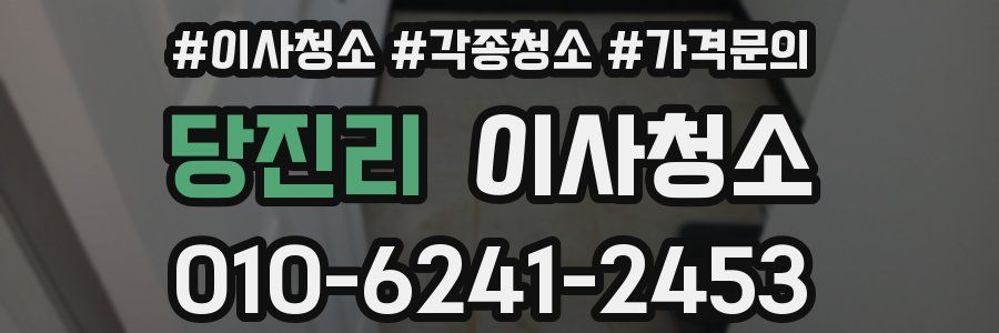 당진리 이사청소