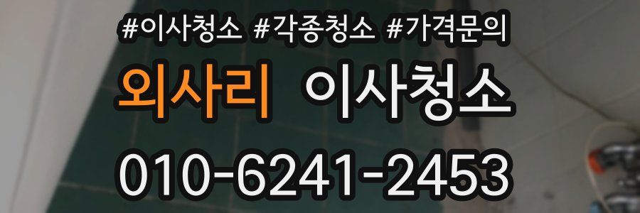 외사리 이사청소