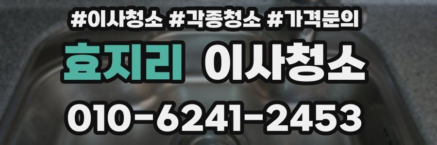 효지리 이사청소