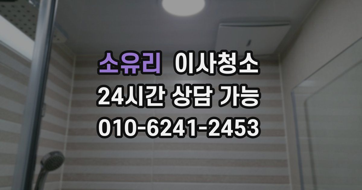 소유리 입주청소