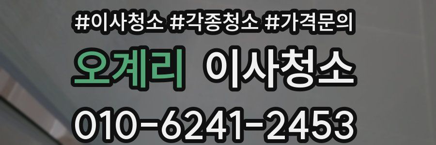 오계리 이사청소