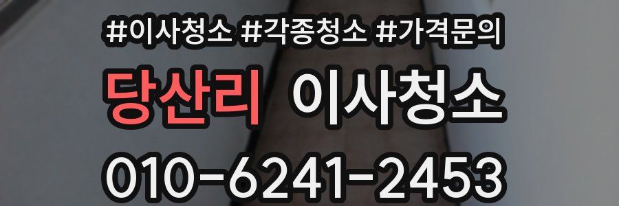 당산리 이사청소