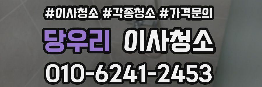 당우리 이사청소