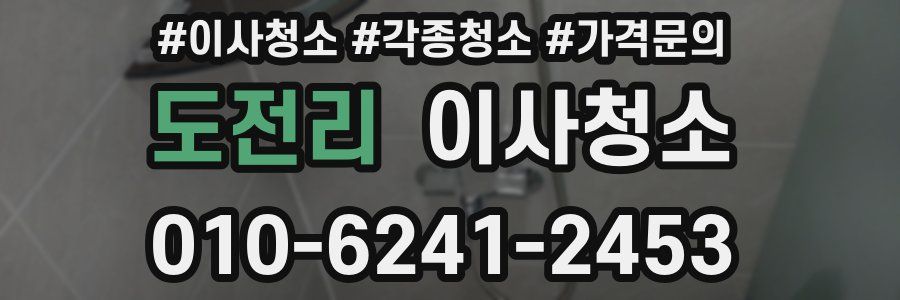 도전리 이사청소