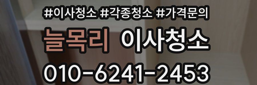 늘목리 이사청소