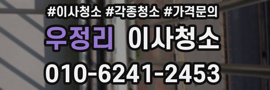 우정리 이사청소