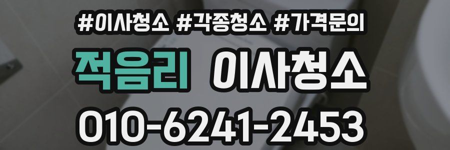 적음리 이사청소