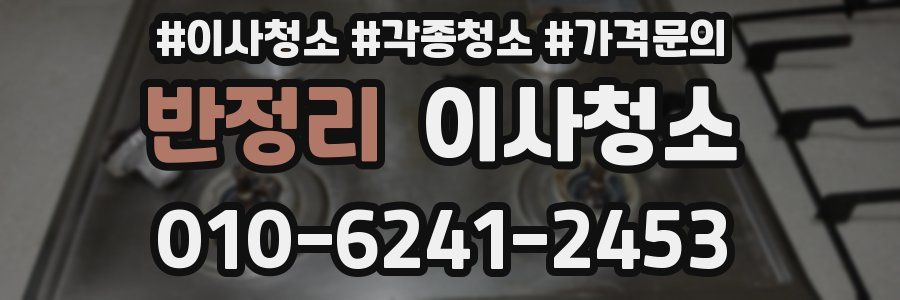 반정리 이사청소