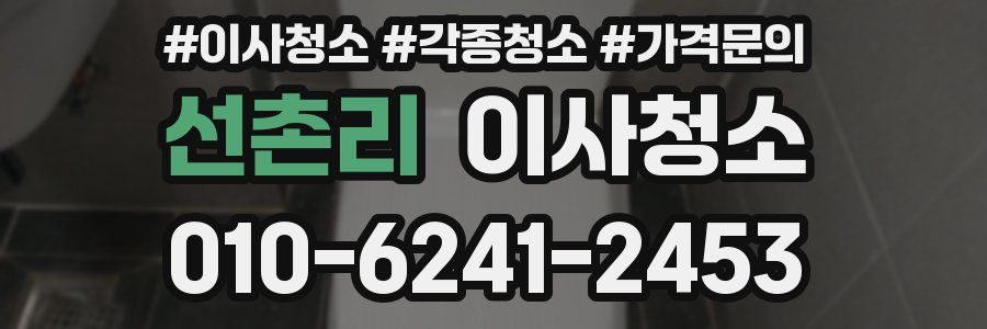 선촌리 이사청소